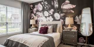 Attiva Pearland Active Living by Cortland - Senior Housing Gallery 17