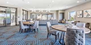 Terra at University North Park Gallery 37