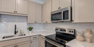 Primrose at Santa Rosa Beach Gallery 5