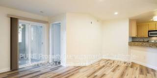 7415 Charmant Dr Gallery 1