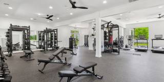 ReNew Woodland North and South Gallery 28