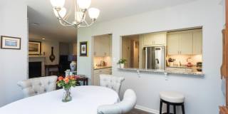 3 SPA CREEK Landing Gallery 10