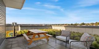 Green Lake Village Gallery 11