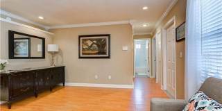 Spacious 4BR/2BA Carrollwood Meadows home. Gallery 6
