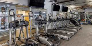 Cortland on Blake Gallery 13