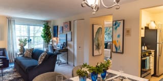 Beverly Commons Gallery 24