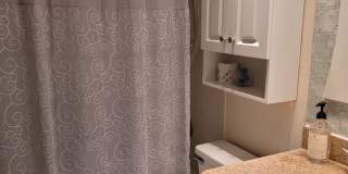 Live the Bayshore Boulevard / Soho Lifestyle, in Style! Gallery 11