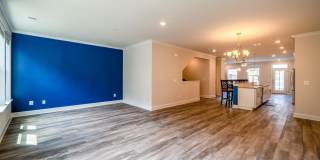 20656 RIVER LIFFEY Terrace Gallery 20