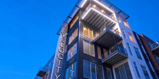 Velocity Gallery 41