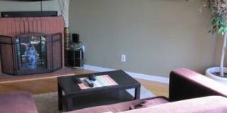 charming 1 bed 1 bath in the heart of saint paul! Gallery 5