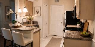 Gorgeous  Forest View, Wood Floors  1/1 condo for RENT @The Crest close to UCF. Gallery 7