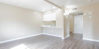 Valley Springs Gallery 3