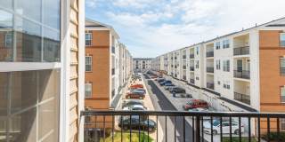23540 BELVOIR WOODS Terrace Gallery 24