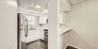 Rise Spring Pointe Gallery 133