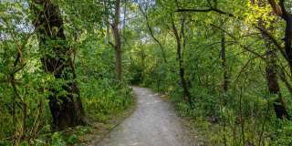 Bell Watertown Gallery 16