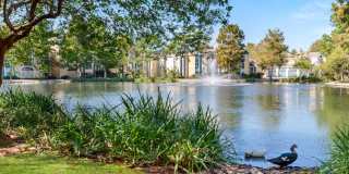 Lakes of Chateau Estates South Gallery 29