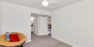 Urban Walk Gallery 9