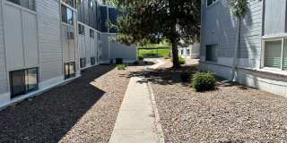 Sierra Vista Gallery 29