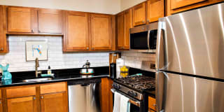 TGM Oceana Gallery 1