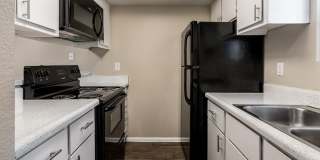 Rise on Cactus Gallery 103