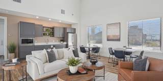 Canvas at Anna Gallery 28