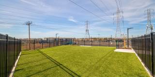 Verdell Pointe Gallery 23