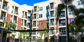 Varela Westshore Gallery 41