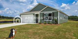 New Construction Home for Rent in Columbiana, AL! Gallery 1