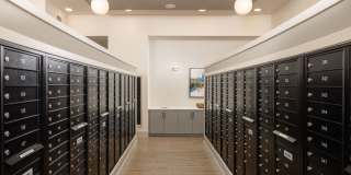 Holly Grove Gallery 13