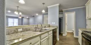 FREE 55” TV or 28” Blackstone! Plus $150 Amazon gift card! Beautiful 3 bed / 2.5 bath duplex with two car garage - Minutes from U of A! Gallery 10