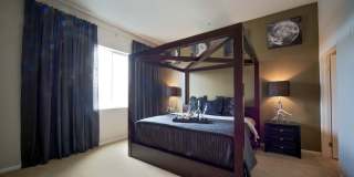 Lexington at Fedora Gallery 8