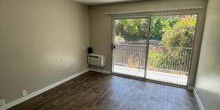 Garden View Gallery 10