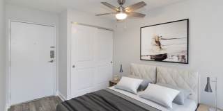 Twin Pines Gallery 7