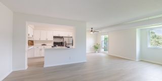 Wayzata Woods Gallery 1