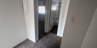 Palmwood Gardens Gallery 14