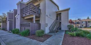 North Salinas Condo for RENT!!! North Salinas Condo for RENT!!! Gallery 1