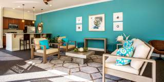 Apex Apartments Gallery 29