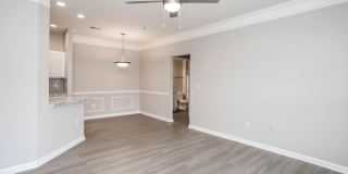 Walden Ridge Gallery 10