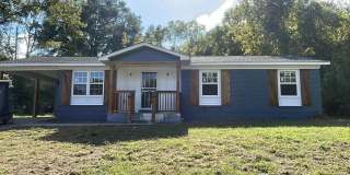 113 PETTITE Gallery 1