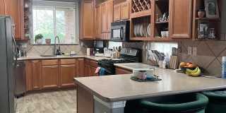 41 Willow Trace Court Gallery 6
