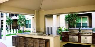 Varela Westshore Gallery 9