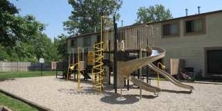 Forest Glen Gallery 11