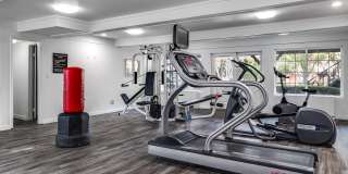 Cambridge Dorchester Apartments Gallery 16