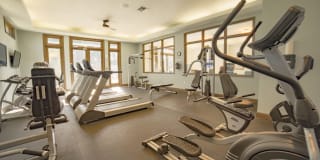 Palms of Clearwater Gallery 20