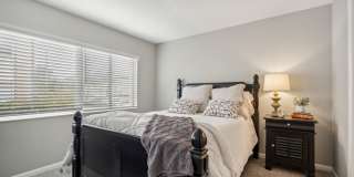 Buena Vista Gallery 70