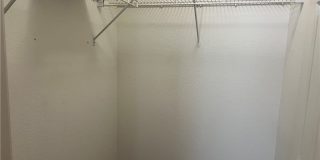 15177 Dandelion Gallery 15