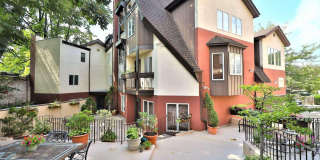 8 REX Avenue Gallery 24