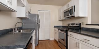 Verde Verde Gallery 7