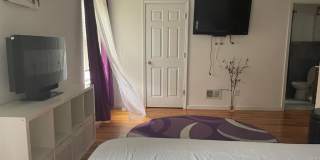 847 Bond Street 1 Gallery 1