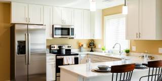 Paugus Woods Gallery 7